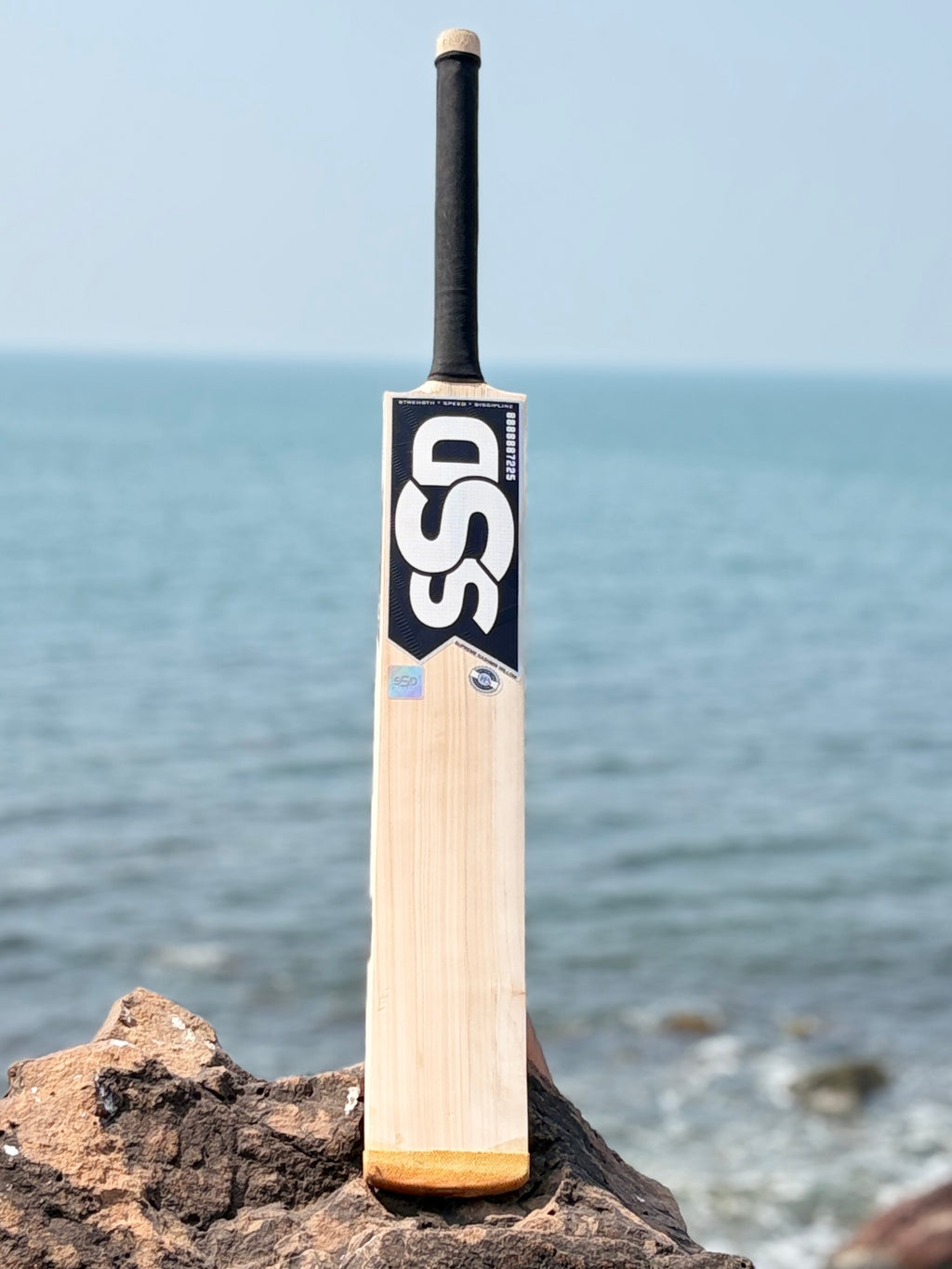 Player Edition Cricket Bat